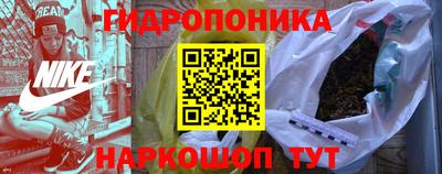 стаф Новозыбков
