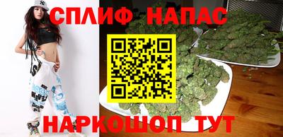 стаф Новозыбков
