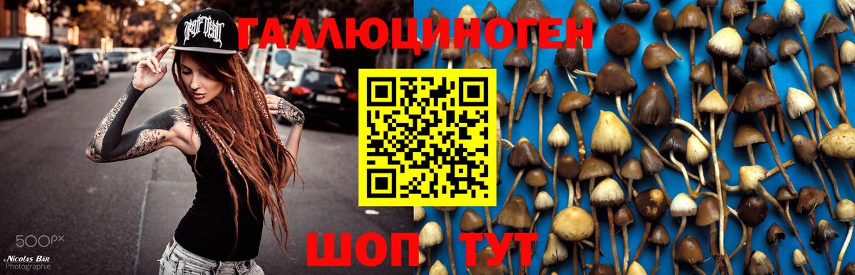 Урус-Мартан  где купить наркоту  Вход с VPN  Псилоцибиновые грибы Magic Shrooms 